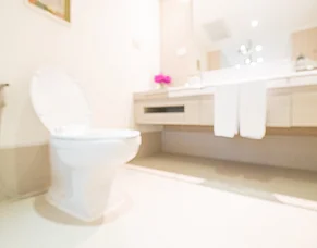 Why Does My Toilet Smell, and How Do I Fix it?