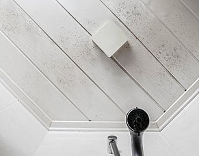 How to Protect Your Bathroom From Mould and Mildew: Proven Strategies