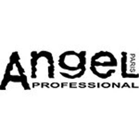 Angel Professional Logo