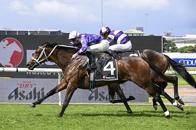Aeliana lands a richly deserved second Group One victory in Saturday&rsquo;s A$1 million Ranvet Stakes (2000m) at Rosehill. -  Photo: bradleyphotos.com.au