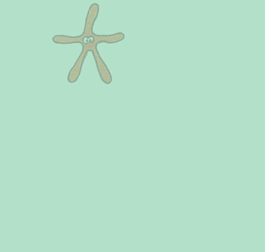 Starfish