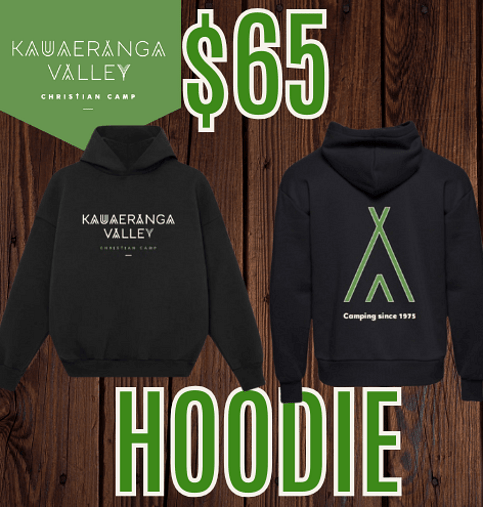 $65