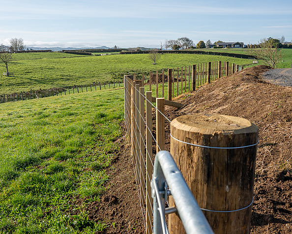 Rural farm fencing done by Habraken Fencing, Auckland and Waikato.
