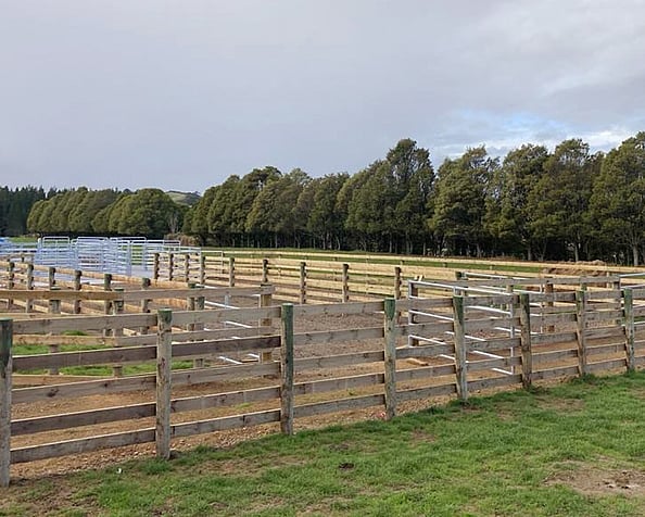 Lifestyle fencing done by Habraken Fencing Ltd. Auckland and Waikato.