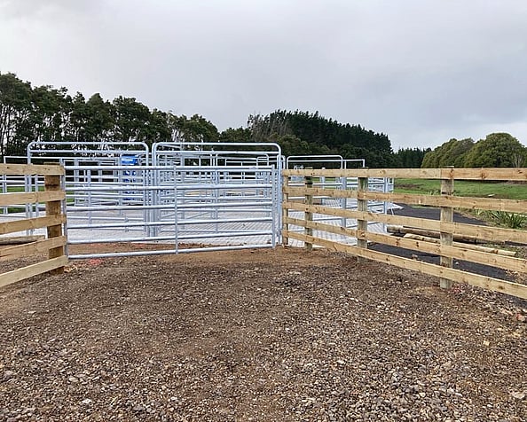 Rural farm fencing done by Habraken Fencing Ltd. Auckland and Waikato.