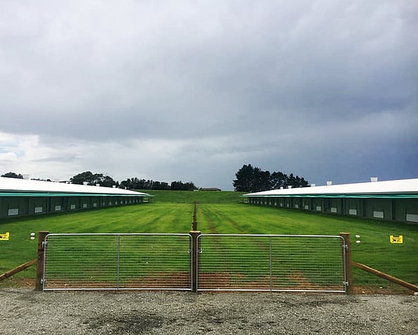 Lifestyle fencing completed recently by Habraken Fencing Ltd, Auckland and Waikato