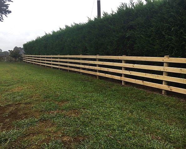 Post & rail farm fencing with hedge boundary. Habraken Fencing Ltd, Auckland & Waikato.