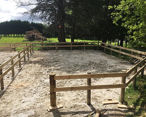 Fenced livestock pens by Habraken Fencing Ltd. Auckland & Waikato.