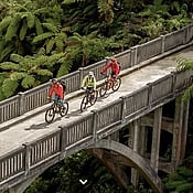 bridge to nowhere