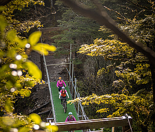 Mangaturuturu Suspension Bridge | Mountains to Sea Great Ride