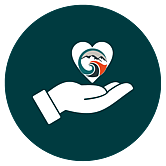 Donate or Volunteer | Mountains to Sea NZ