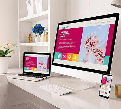 Website development