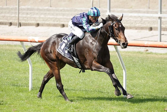 Frozen Fortune (NZ)