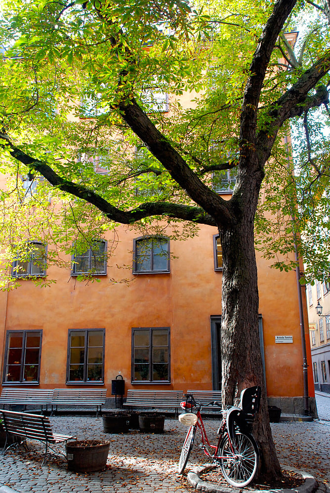 Br&auml;nda Tomten, Old Town, Stockholm