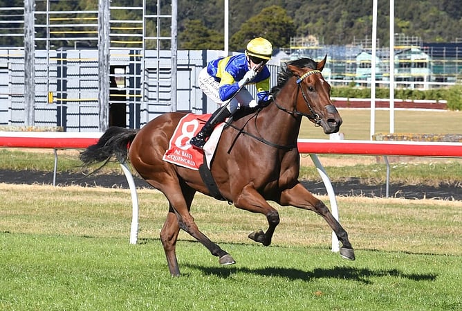 Grail Seeker cruises to victory in the Gr.1 Telegraph (1200m) at Trentham. -  Photo: Race Images