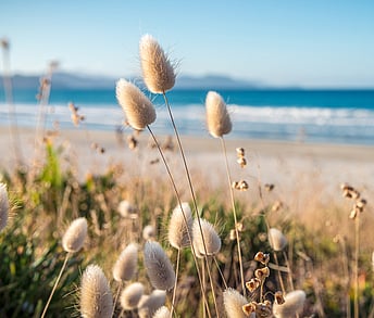 Cancer Information