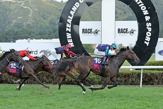 She&rsquo;s A Dealer winning the Gr.1 Listen Live on Sportnation.nz New Zealand Thoroughbred Breeders&rsquo; Stakes (1600m). -  Photo: Peter Rubery (Race Images)