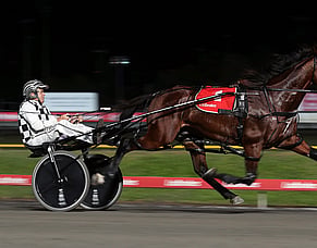Leap To Fame wins again and primed for Cambridge