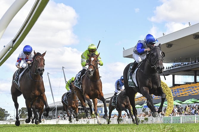 Belle Cheval took out the Gr.1 Vinery Stud Stakes (2000m) at Rosehill by the barest of margins.  - Photo: bradleyphotos.com.au