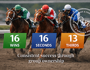 Proven performance across our stable