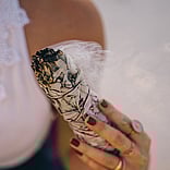 Shop online, buy online your pilates, yoga and barre accessories 