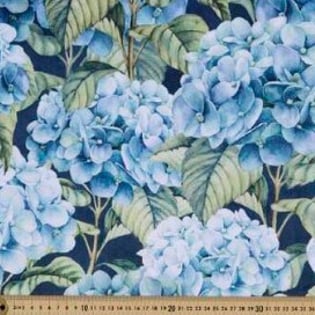 Hydrangea velvet
