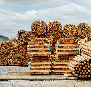 Mitchpine timber products in the yard