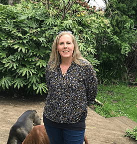 Counted, Kelly Windley, Digital Media, Hawkes Bay Accounting and Bookkeeping Company