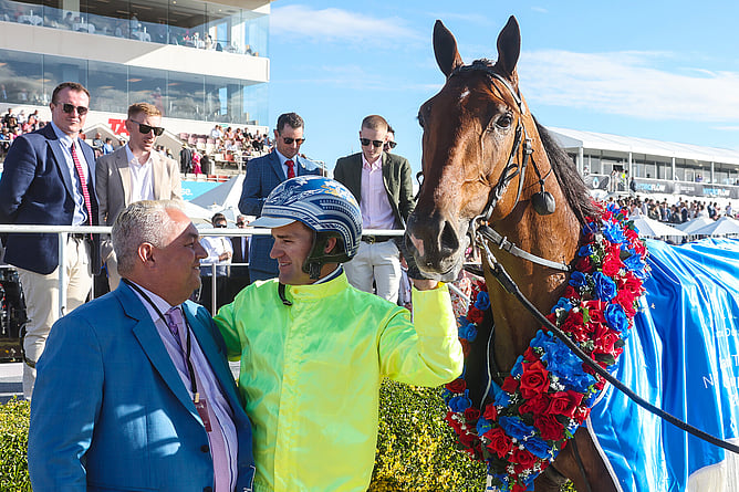 Kingman & Luke McCarthy       Photo: HRNZ/Race Images NZ