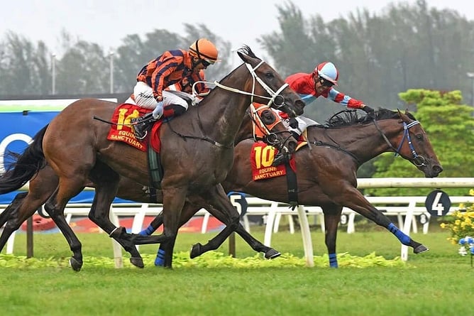 Fortune Tree (Aify Yahaya) holding off Duma (Ruzaini Supien, orange cap) and Pacific Energy (Jordan Mallyon, in the middle) to win the Group 1 Tunku Gold Cup (1,200m) at Sungai Besi  - Photo: SLTC