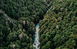SUSTAINABILITY