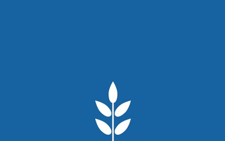 Wholesale Wheat Bags