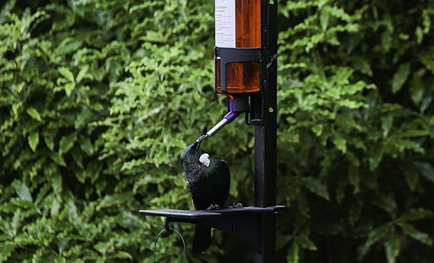 BIRD FEEDERS