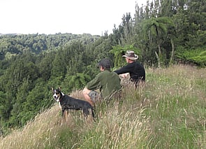 Pig Hunting Owhango