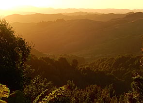 Central North Island Sunset