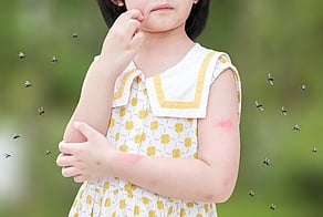 Insect Repellent