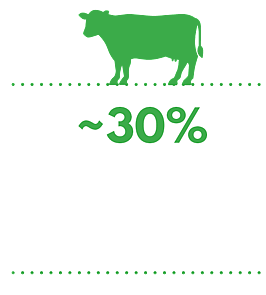 30% of New Zealand&rsquo;s land area  is in formal protection (global goal is 30% by 2030)