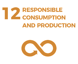 Waikato Wellbeing Project Sustainable Development Goal 12