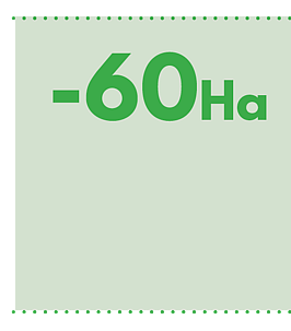 60ha of net annual loss of terrestrial indigenous vegetation between 2012 and 2018 