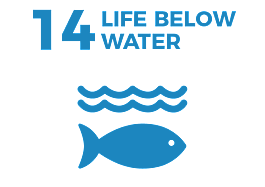 Waikato Wellbeing Project Sustainable Development Goal 14