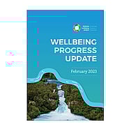 Read about the Wellbeing Progress Update 2023