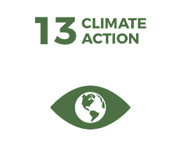 Waikato Wellbeing Project Sustainable Development Goal 13