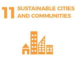 Waikato Wellbeing Project Sustainable Development Goal 11