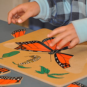 wooden puzzles