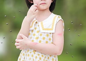 Insect Repellent