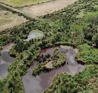 Farm Environmental Plans (FEPs)
