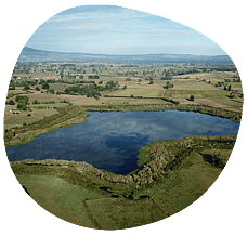 Partners pool resources to secure funding for Manga-o-tama project