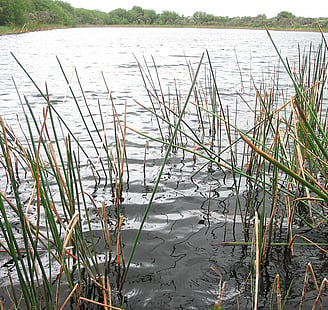 NZ Landcare Trust