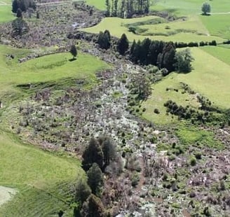 Photo Credit: Mangaotama Stream and Wetland Restoration Trust