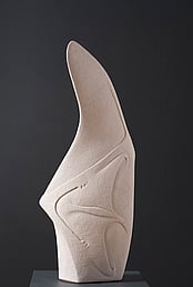 Dorothy Waetford (detail) Paihau- Fin of a fish 2013 - Uku